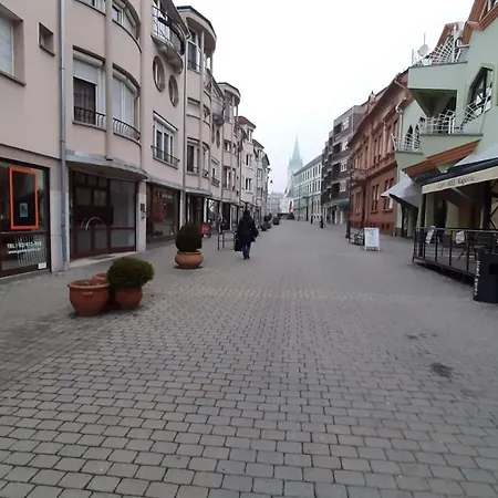 Mhc * Kaposvar